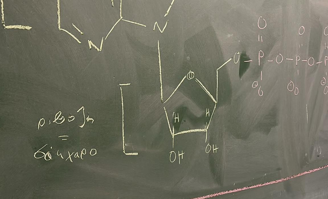 c9fdd947-8773-448e-b75a-22310377e338-1152x700